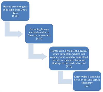 Development of a Colic Scoring System to Predict Outcome in Horses